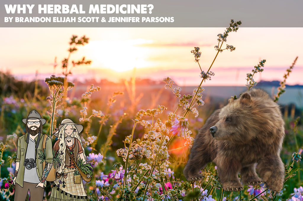 Why Herbal Medicine?