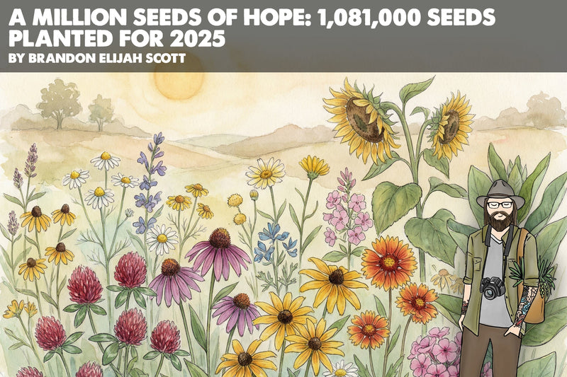 A Million Seeds of Hope: 1,081,000 Seeds Planted for 2025