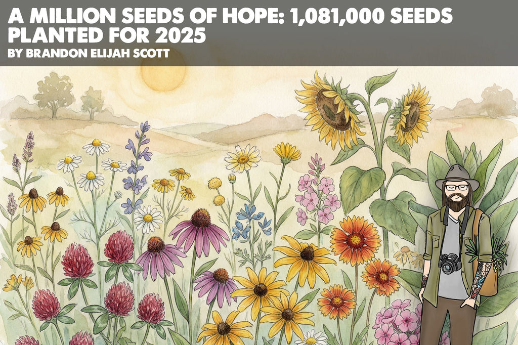 A Million Seeds of Hope: 1,081,000 Seeds Planted for 2025  Woodland Herbal