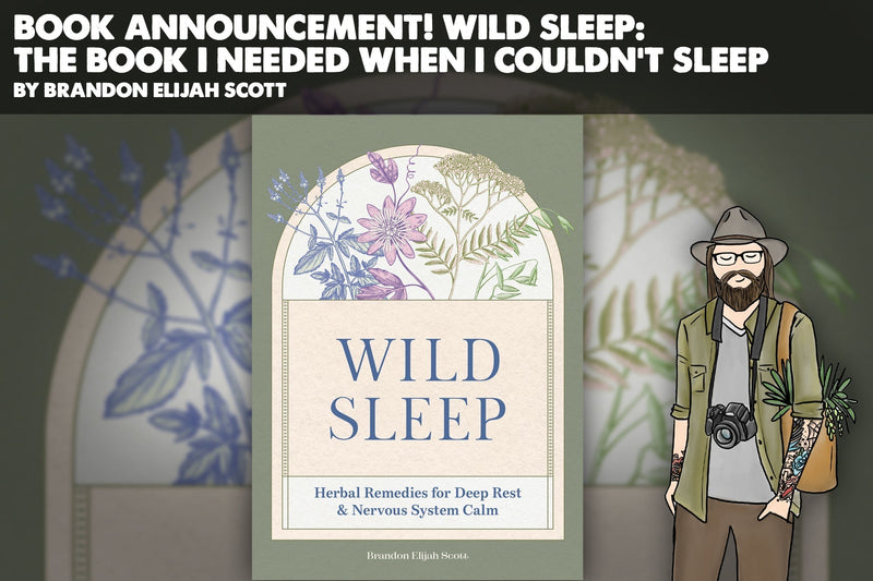 Book Announcement! Wild Sleep: The Book I Needed When I Couldn’t Sleep