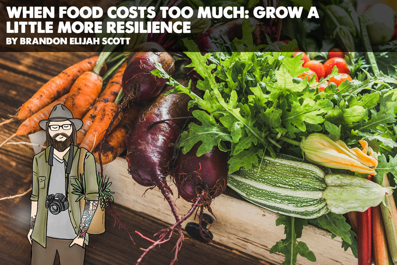 When Food Costs Too Much: Grow a Little More Resilience