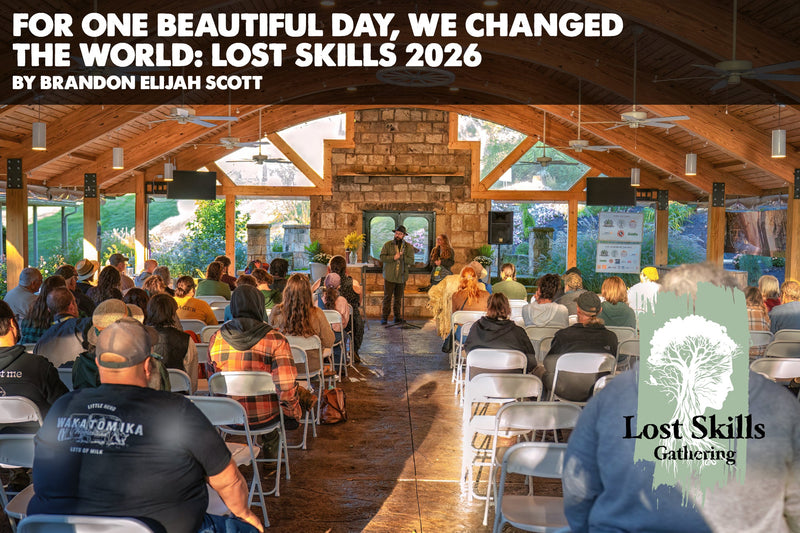 For One Beautiful Day, We Changed the World: Lost Skills 2026