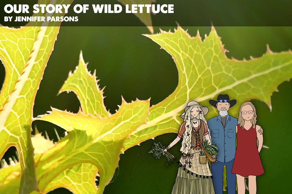 Our Story of Wild Lettuce