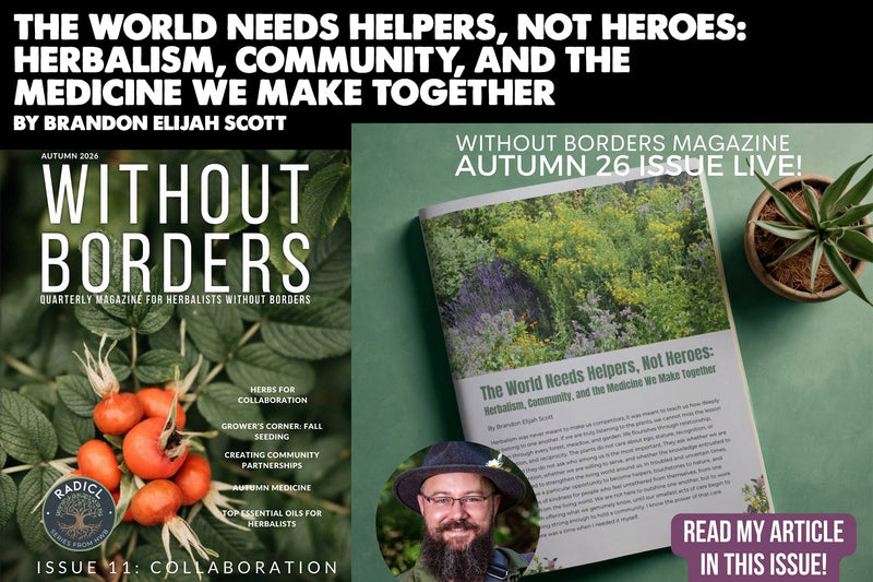 The World Needs Helpers, Not Heroes: Herbalism, Community, and the Medicine We Make Together