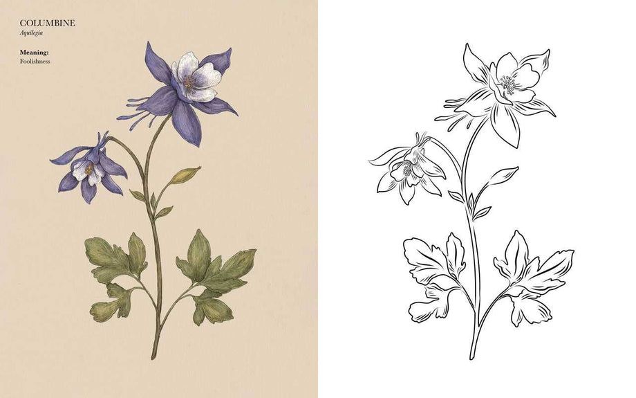 The Floriography Coloring Book, by Jessica Roux – Woodland Herbal