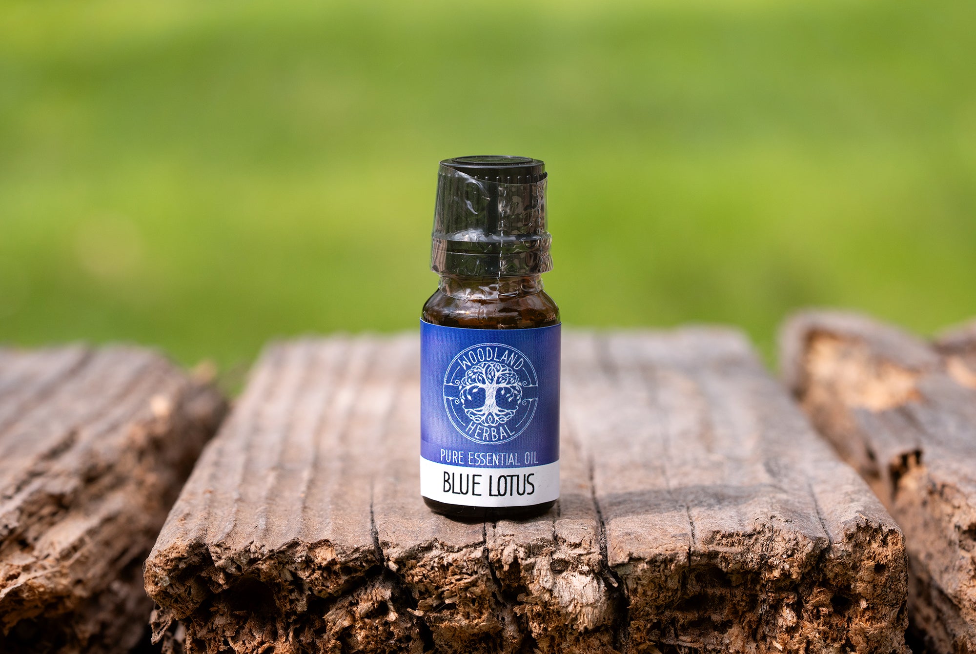 lily flower essential oil Blue Lily Essential Oil
