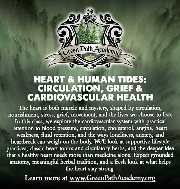 Green Path Academy: "Heart & Human Tides: Circulation, Grief & Cardiovascular Health" Class