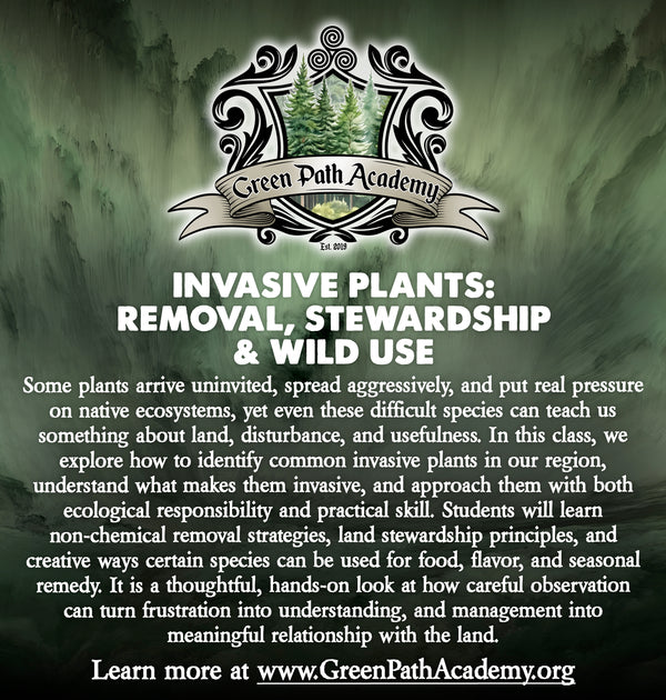 Green Path Academy: "Invasive Plants: Removal, Stewardship & Wild Use" Class