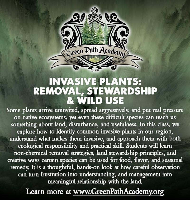Green Path Academy: "Invasive Plants: Removal, Stewardship & Wild Use" Class